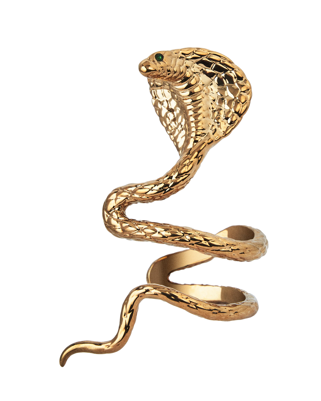 Reputation Album Snake Ear Cuff
