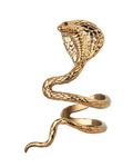 Reputation Album Snake Ear Cuff